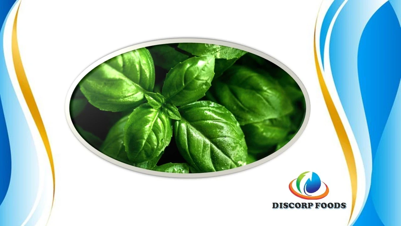 ALBAHACA
