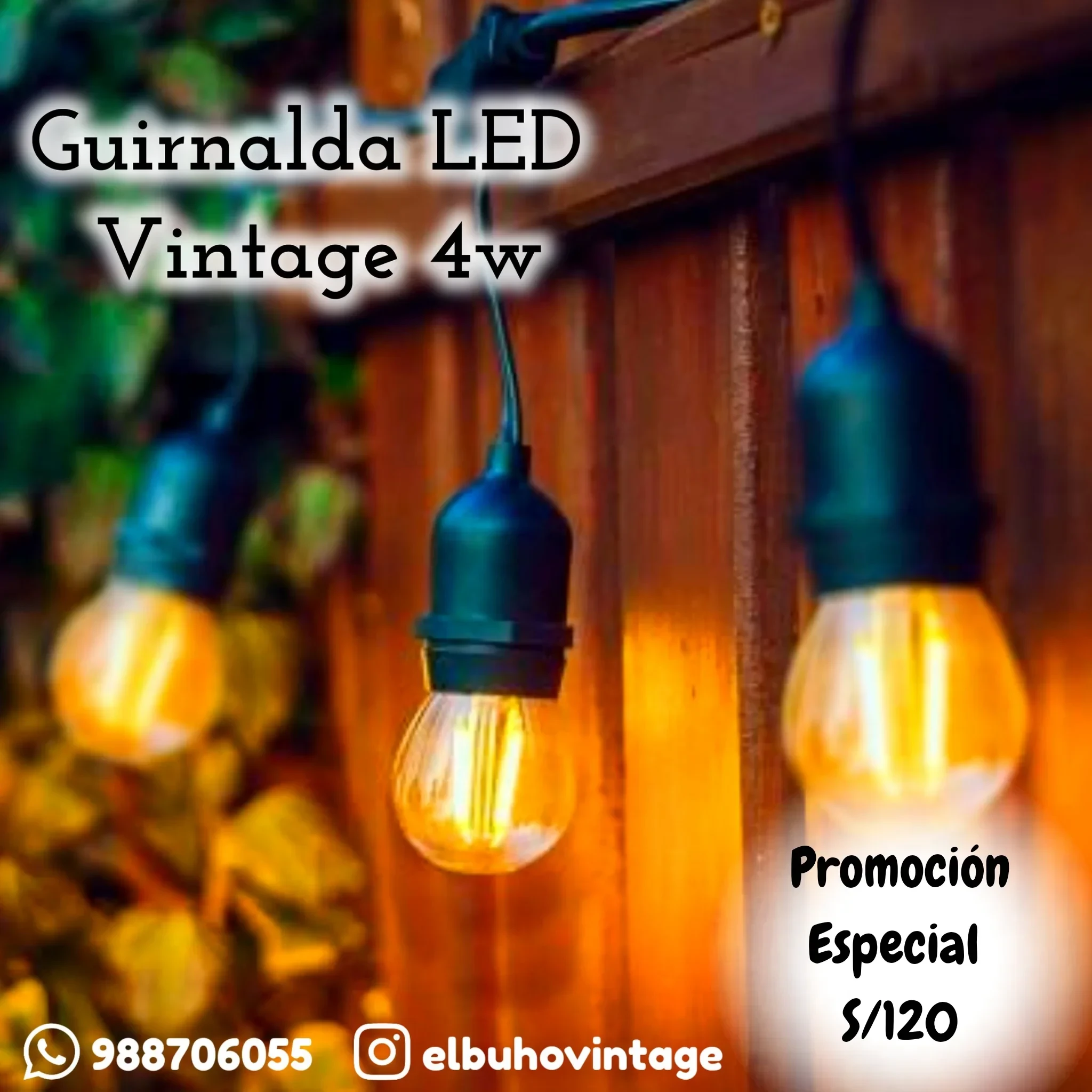 Guirnaldas LED Decorativas Vintage 4w 7