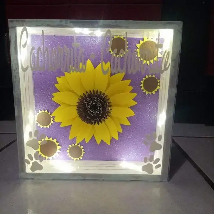 Shadow box con luz