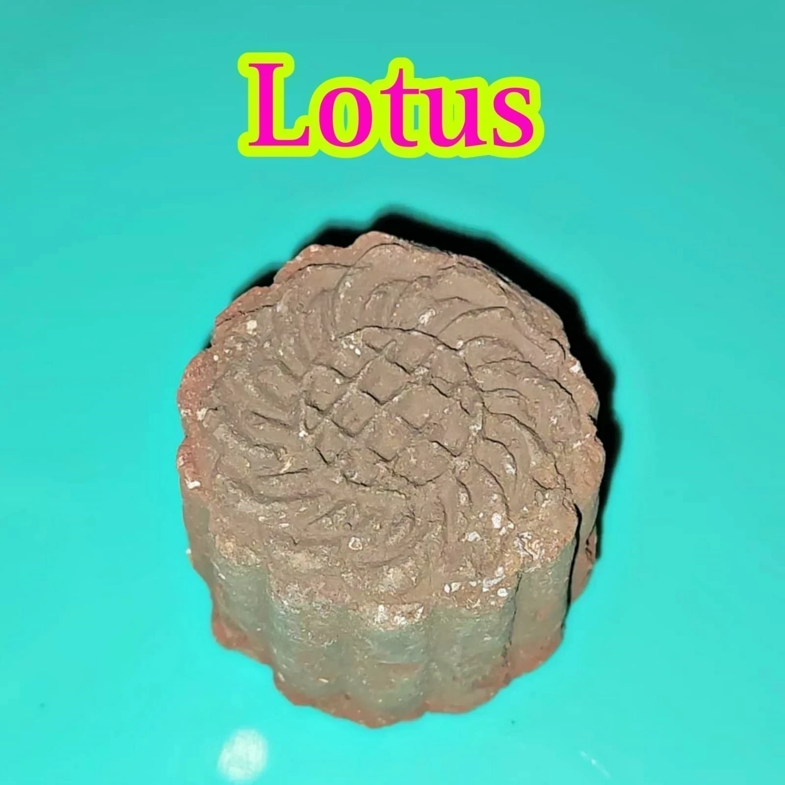Galleta Lotus