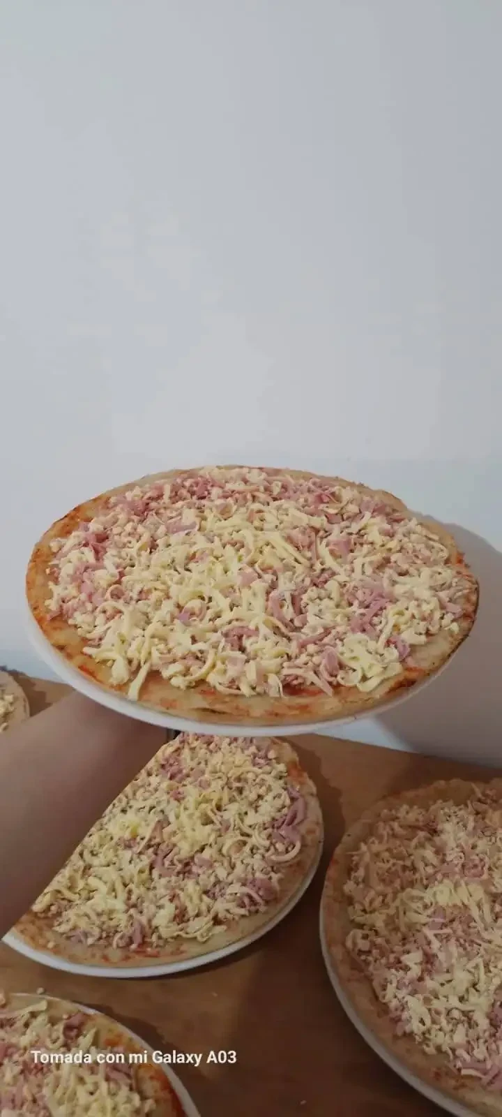 Pizza de muzza y jamon