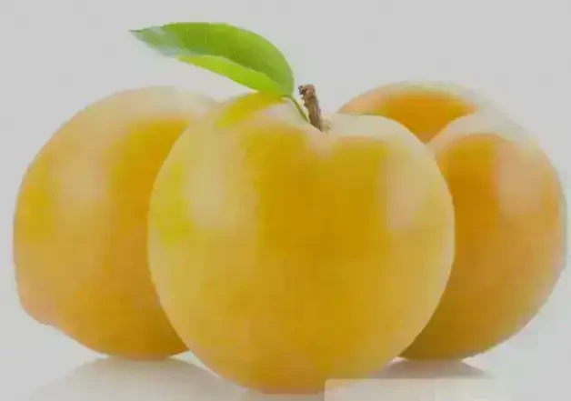 Ciruela Amarilla 