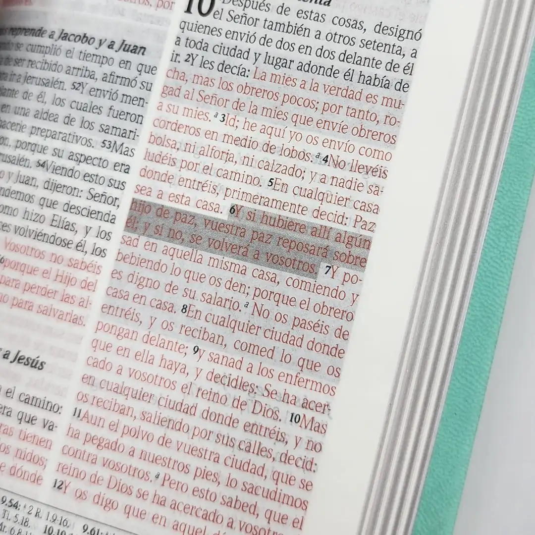 Biblia RV60 promesas Compacta Piel especial Menta 3