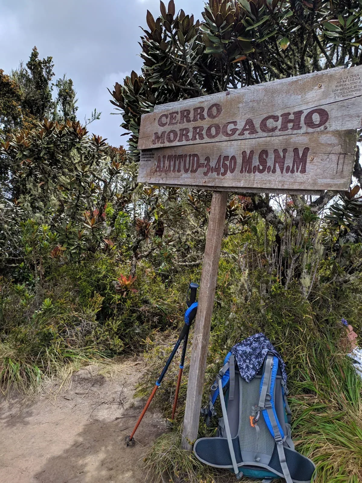 CERRO MORROGACHO SALENTO QUINDIO 2