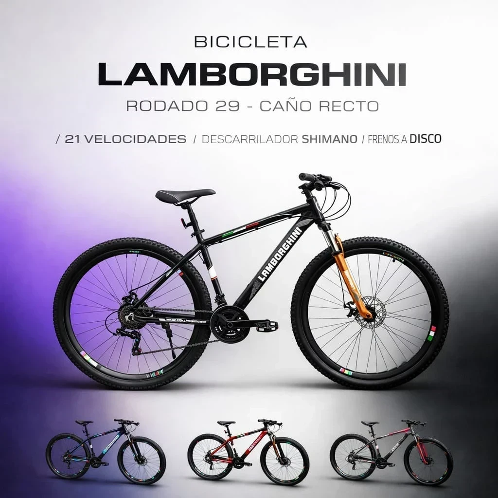 OUTLET BICICLETA LAMBORGHINI ROD.29 