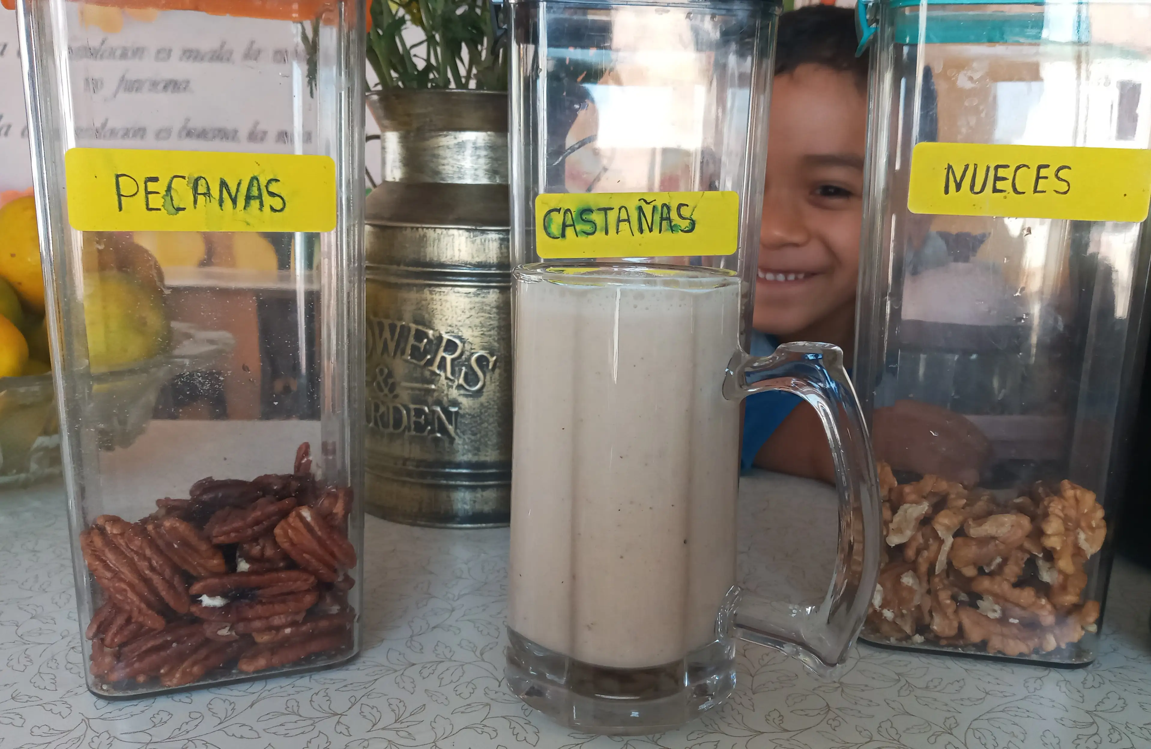 Batidos Nutritivos 2
