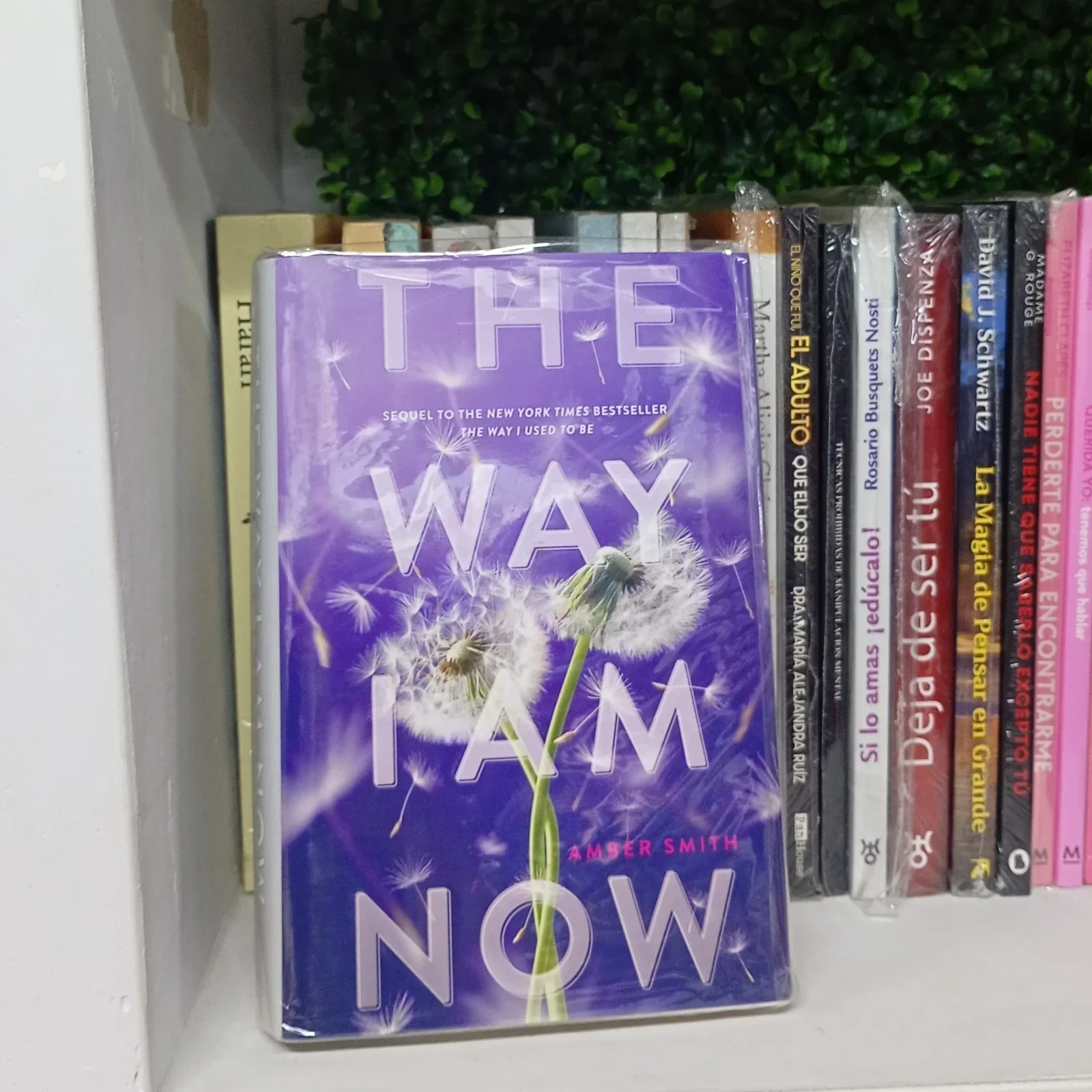 The Way I Am Now — Amber Smith (Edicion en inglés)