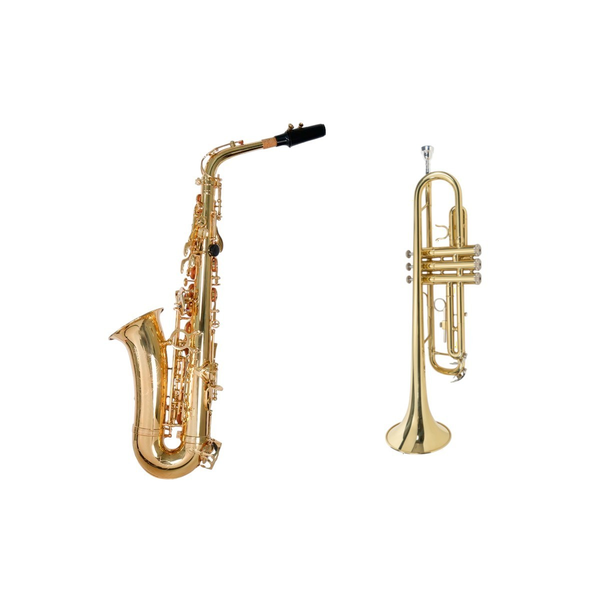 INSTRUMENTOS DE VIENTO