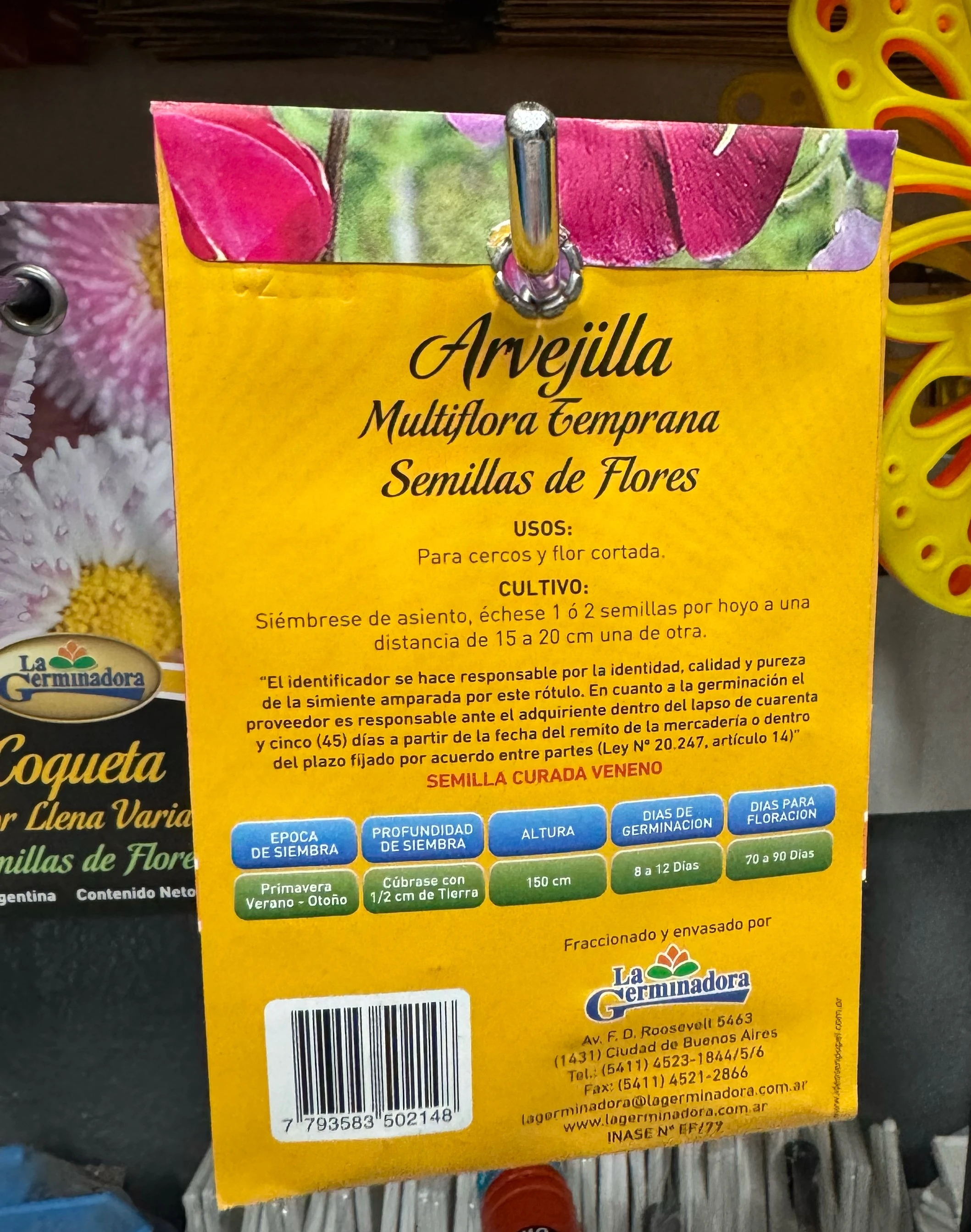 Avejilla semillas de flor  2