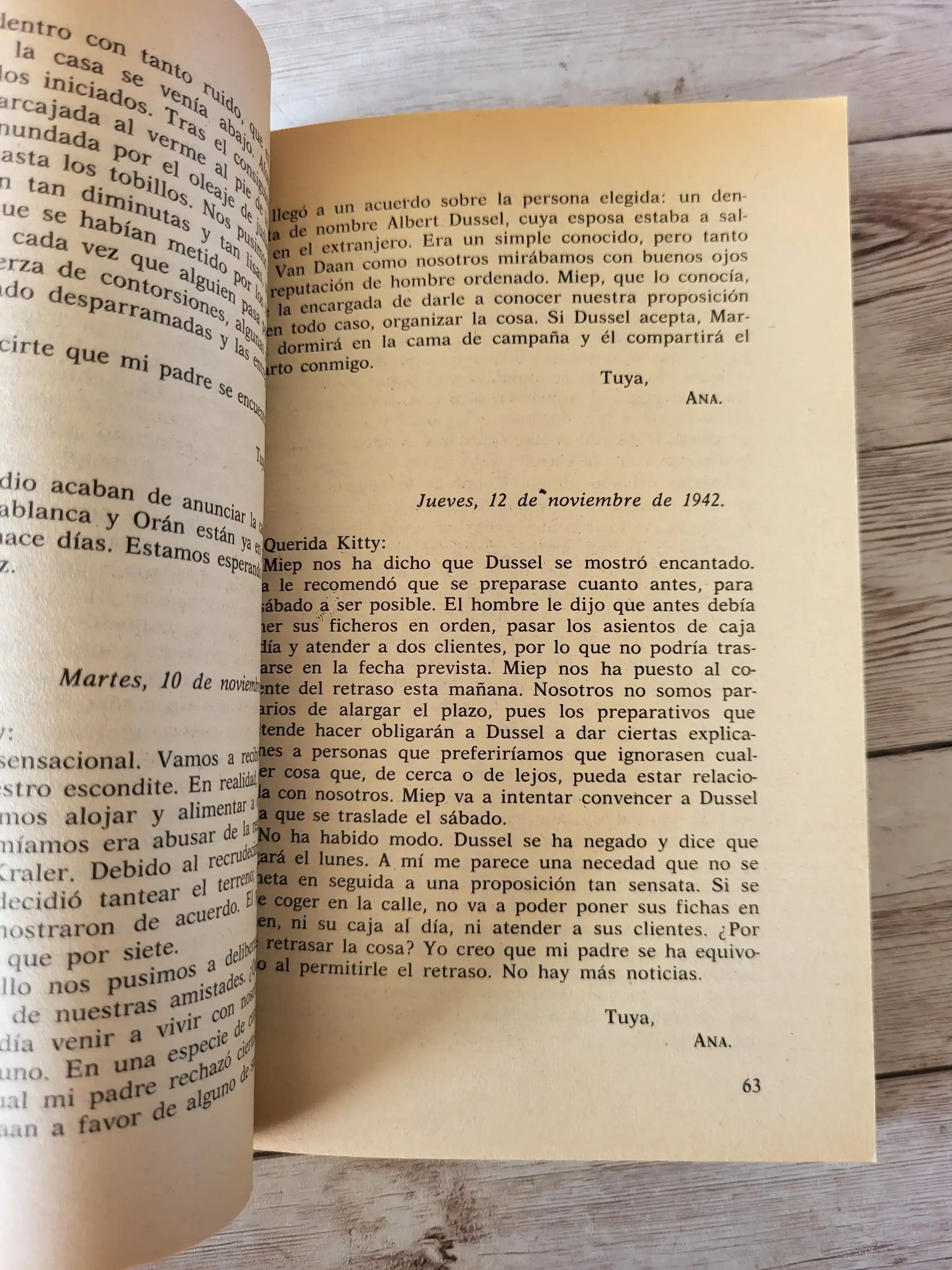 Diario / Anna Frank / Guerra / Autobiografia / Historia 3