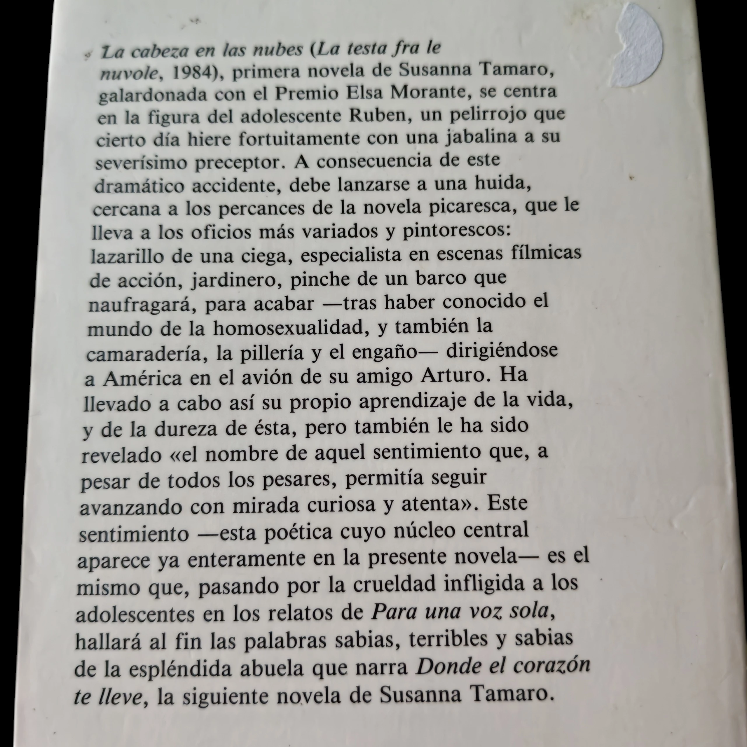 La Cabeza en las nubes Susanna Tamaro usado  2