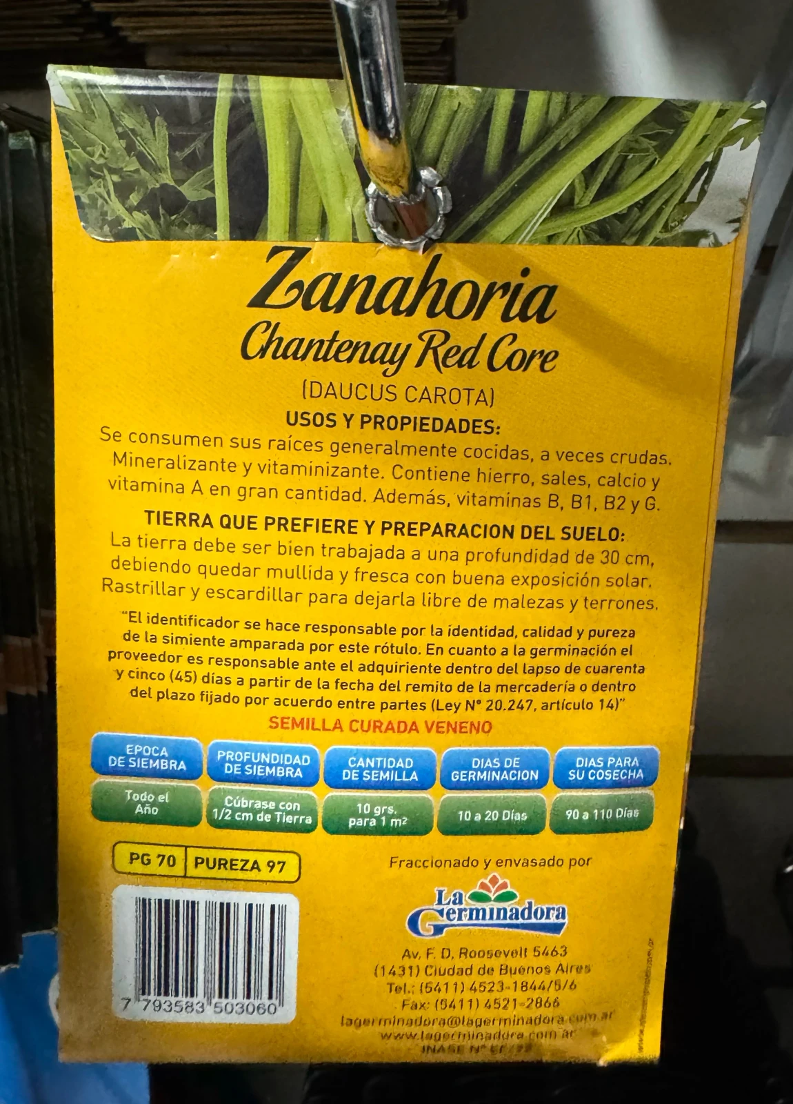 Zanahoria semillas de verduras  2