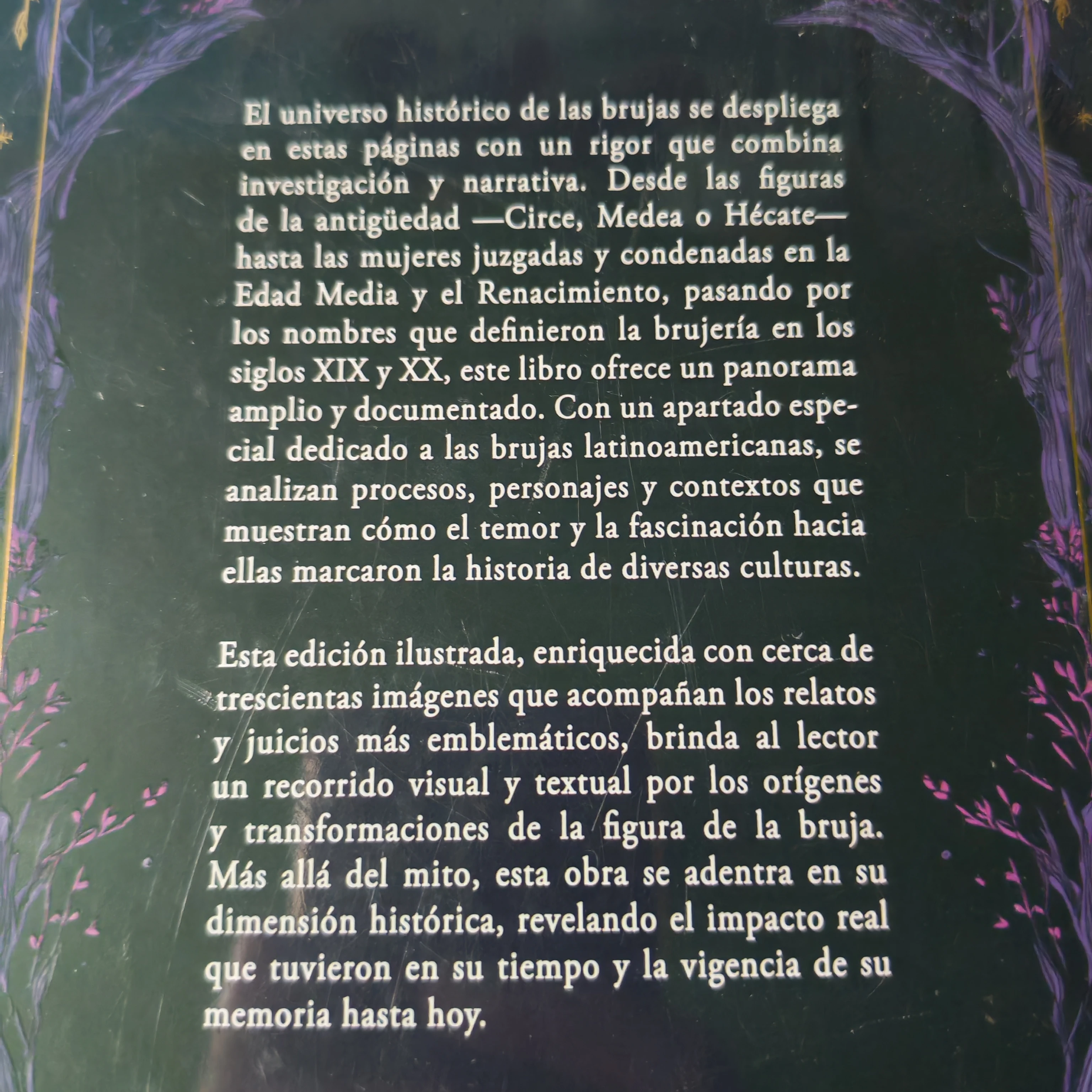 Todo sobre brujas Gabriela Ferrer Nuevo  2