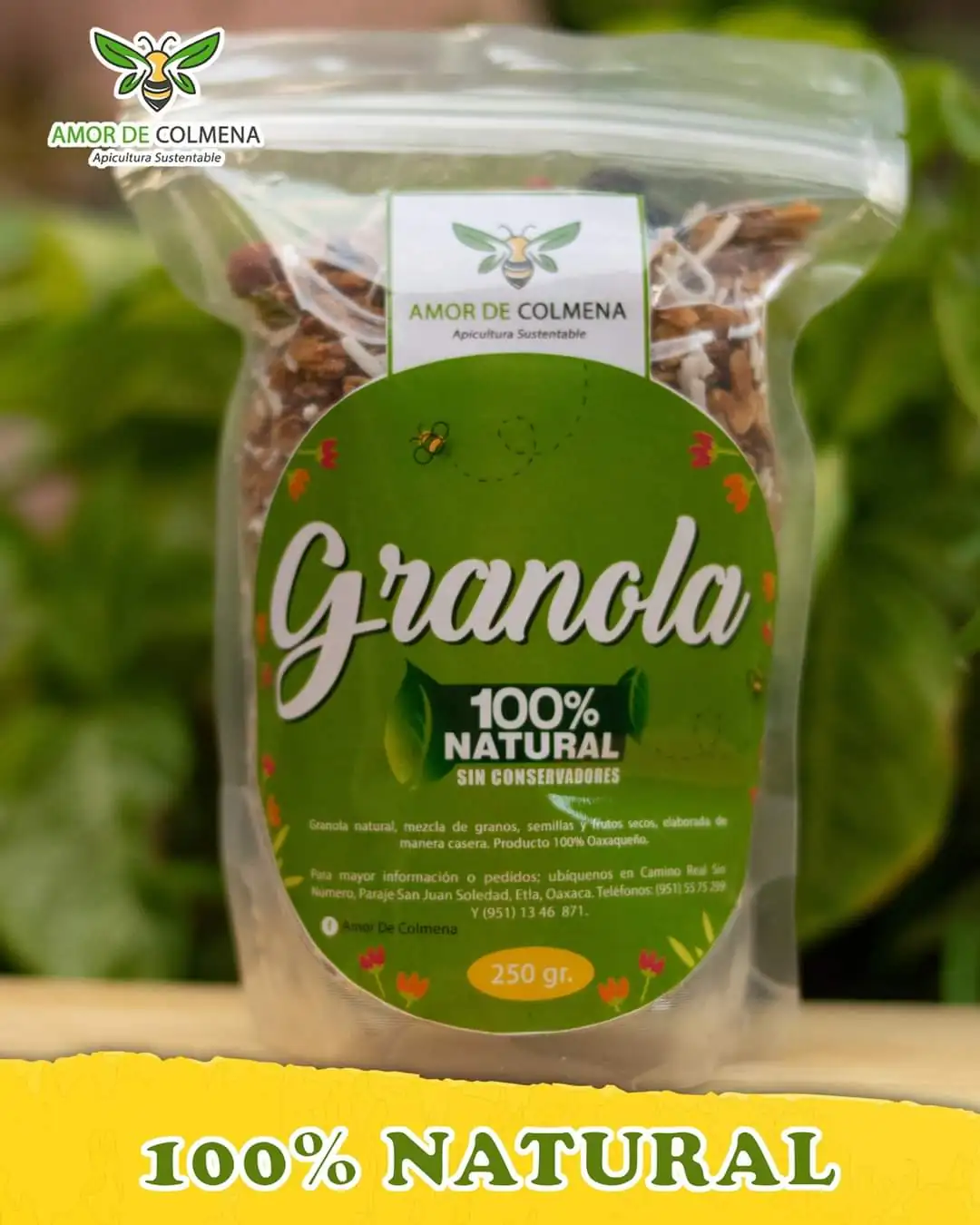 Granola Natural presentación de 250grs