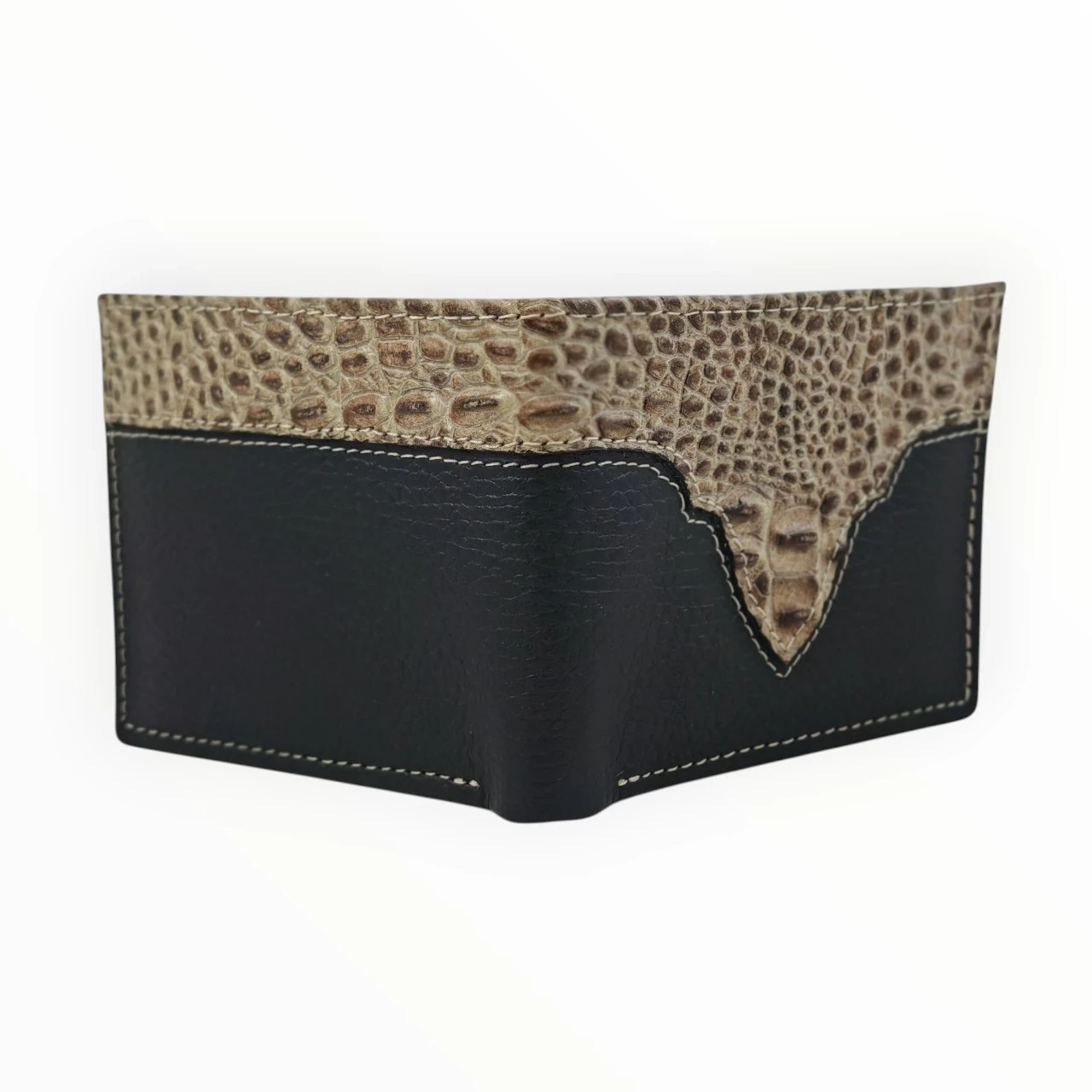 Caiman Nocturno  2