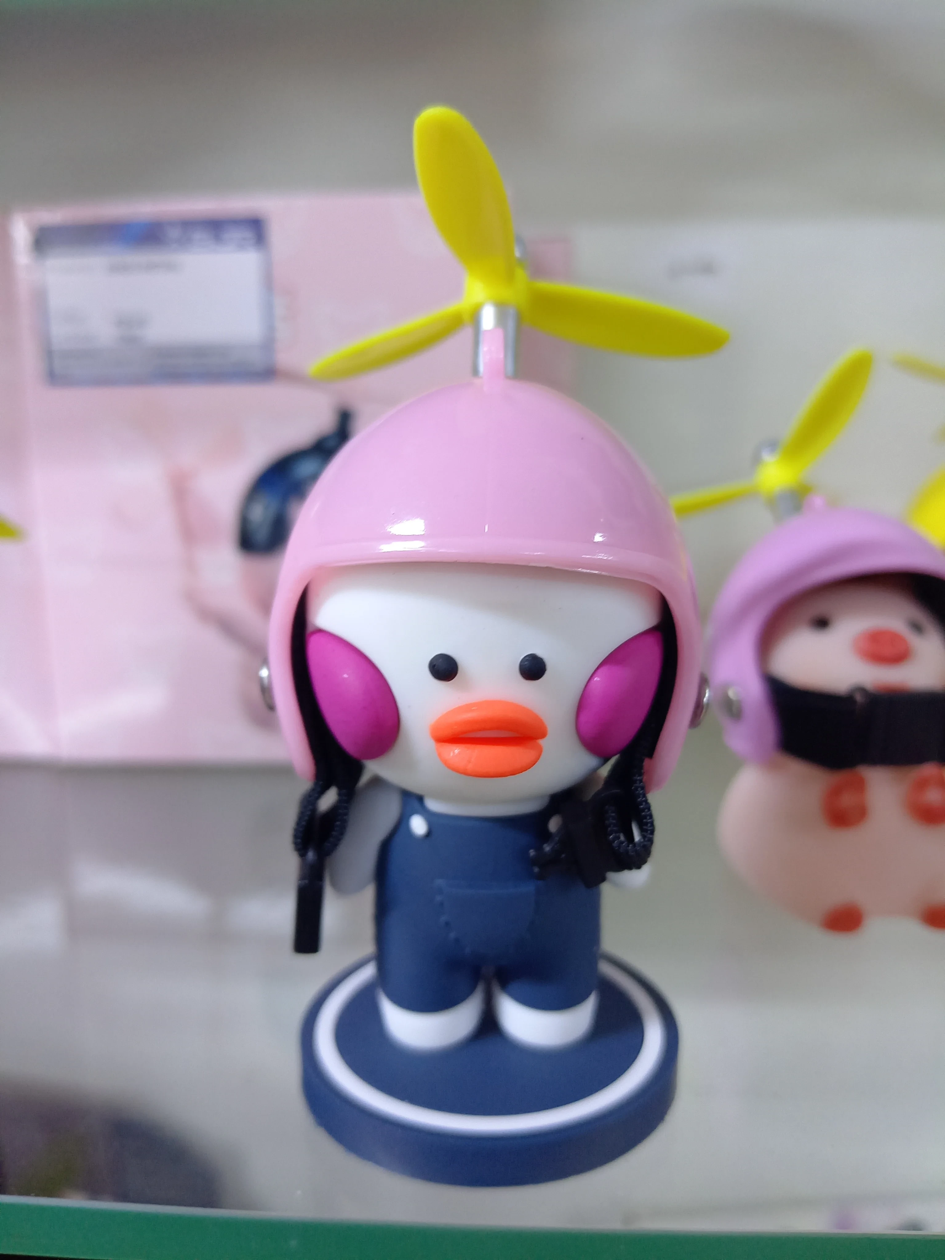 POLLITO MOTERO  2