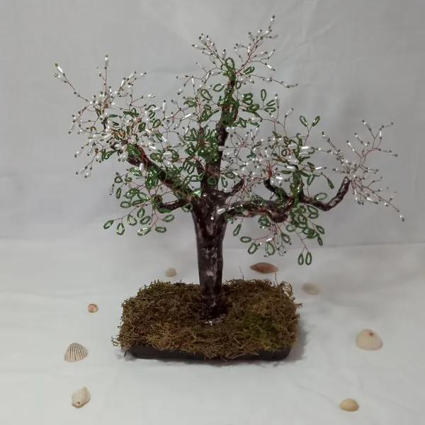 Bonsai