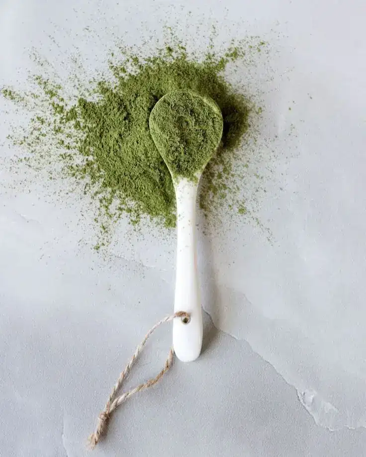 Moringa 