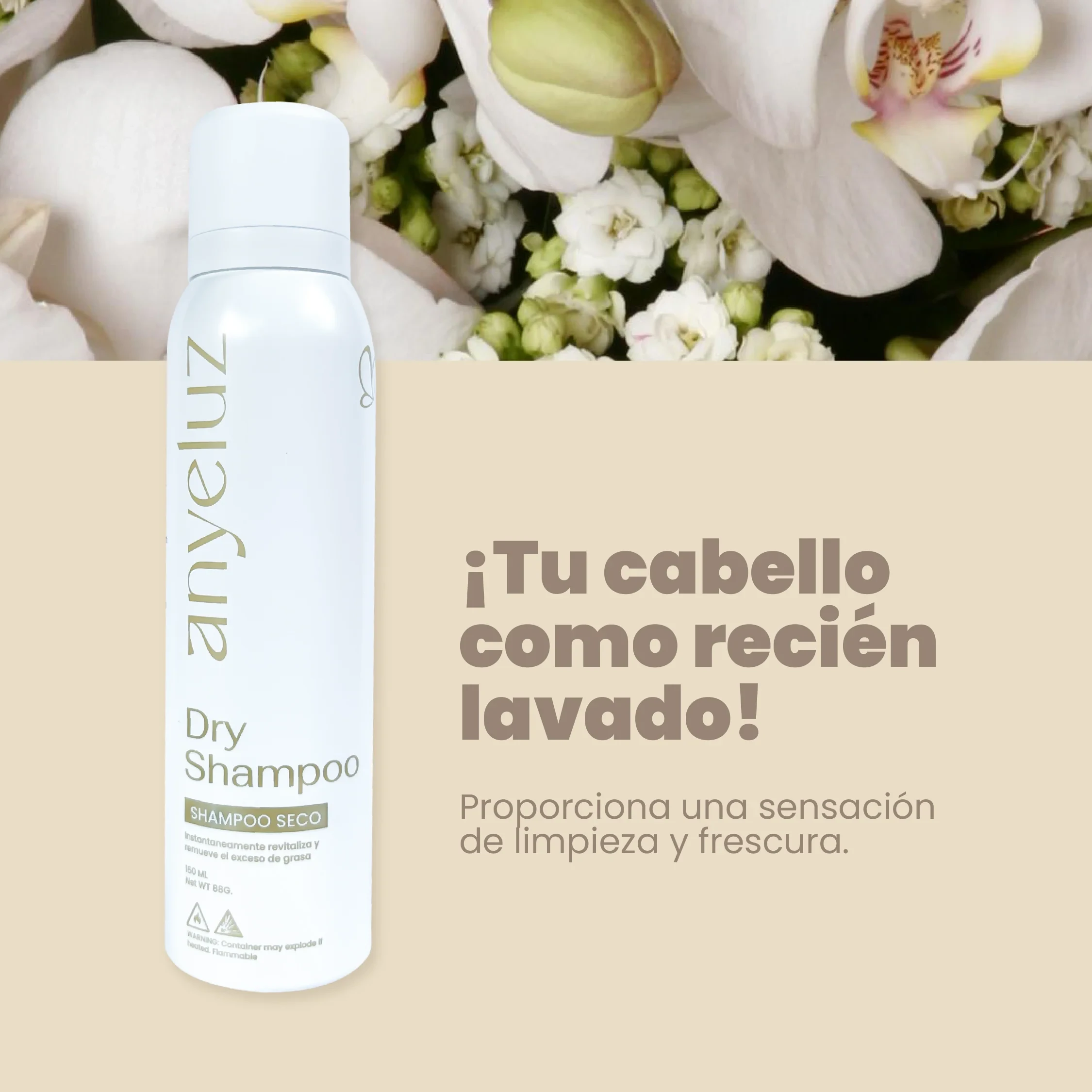 Shampoo Seco Anyeluz 