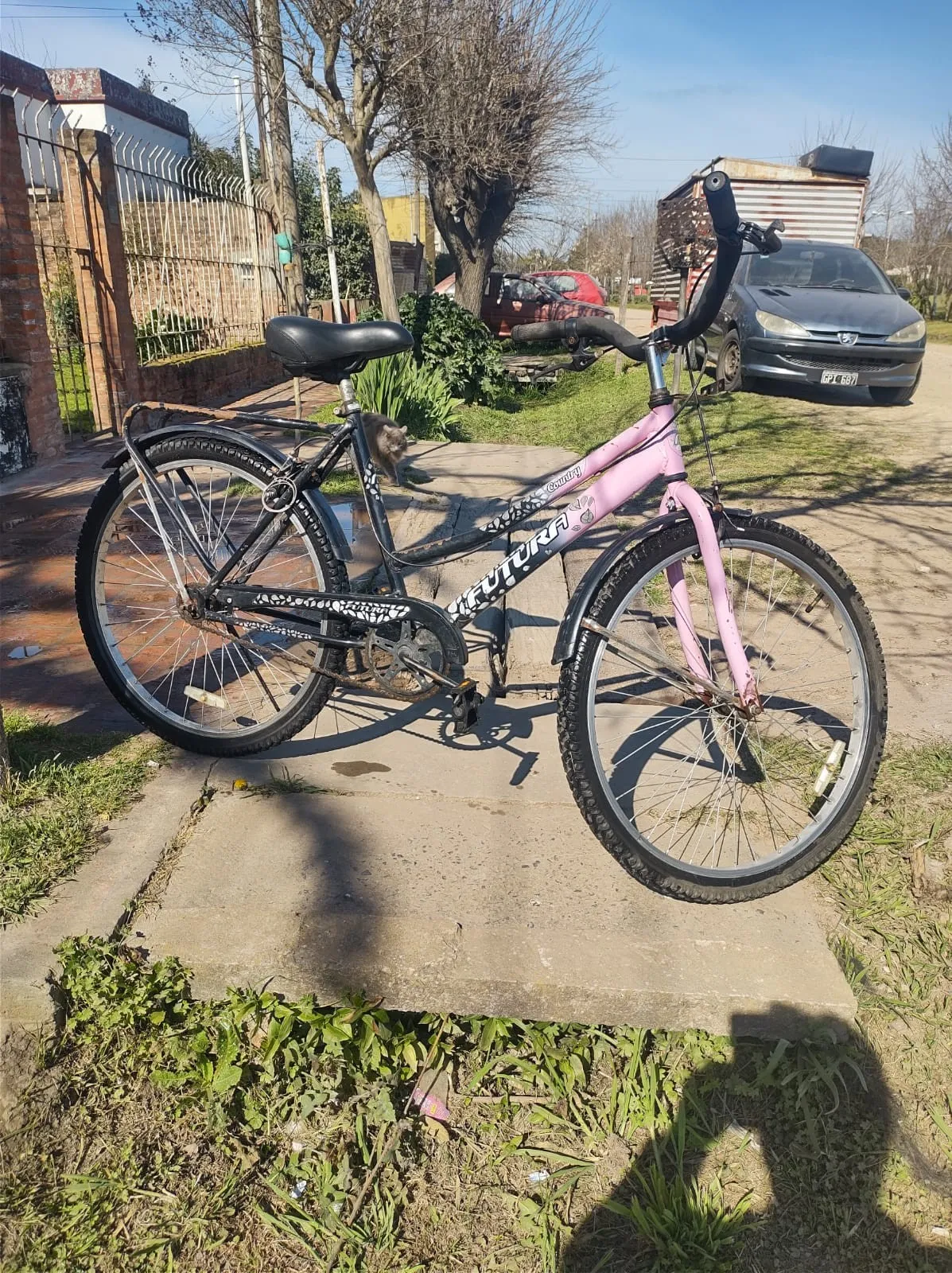 bici r26