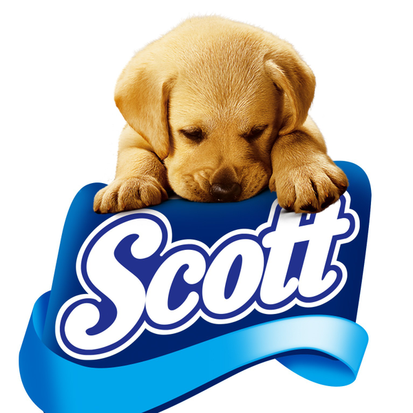 PAPEL SCOTT