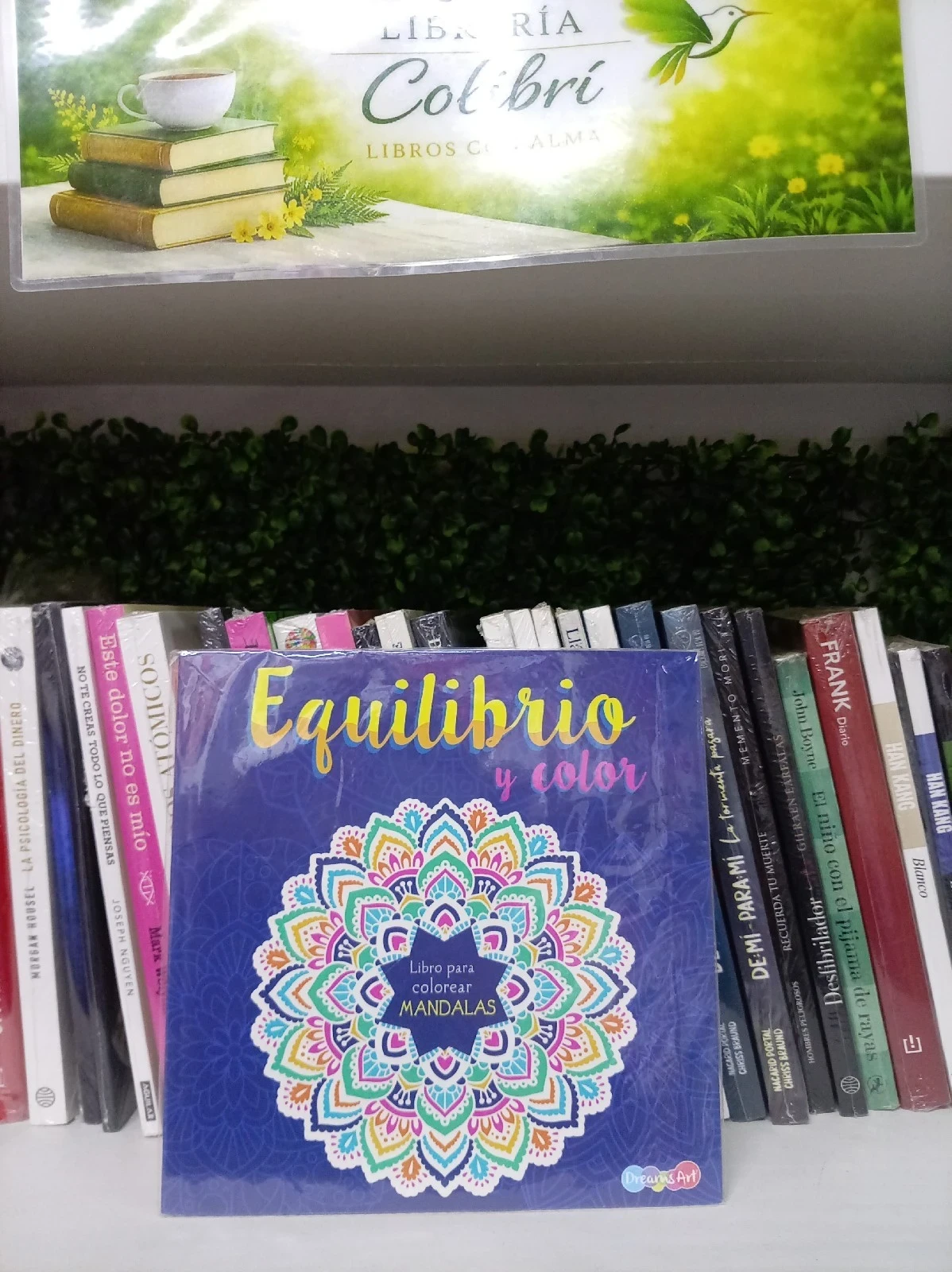 mandalas equilibrio y color