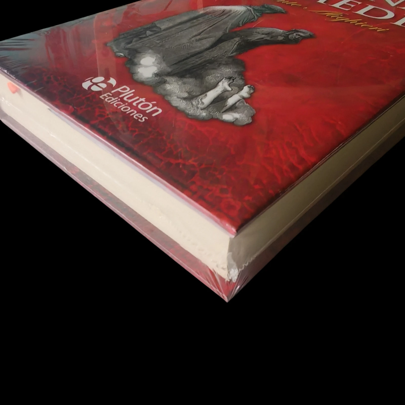 Divina comedia, Dante Alighieri nuevo  3