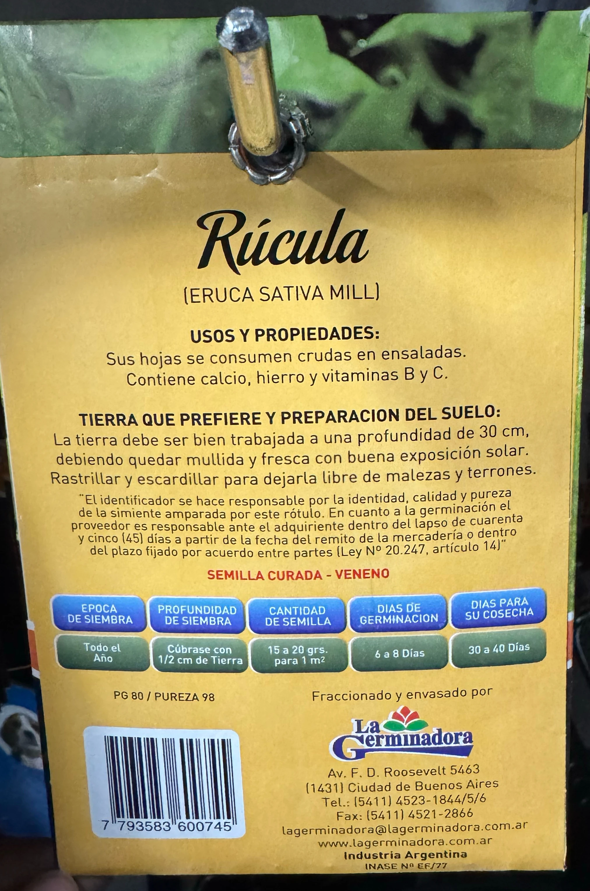 Semillas de rucula  2