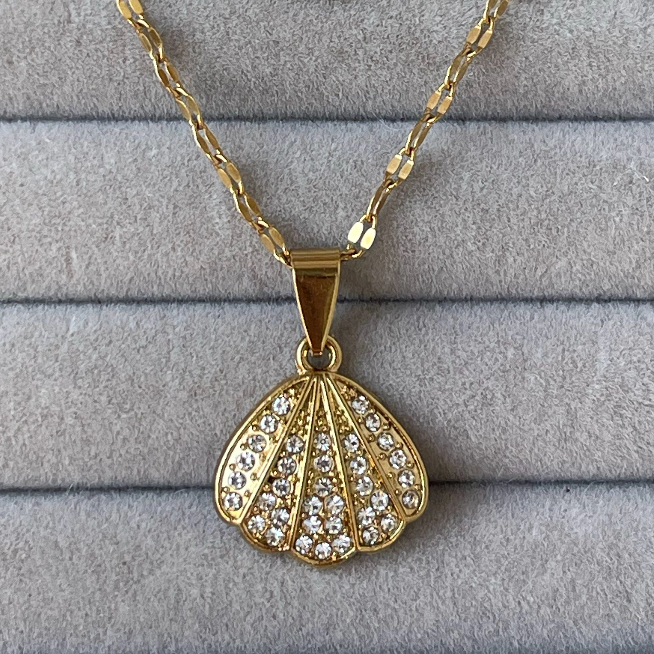 Cadena conchita de mar