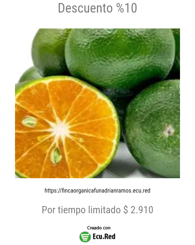 Descuento %10