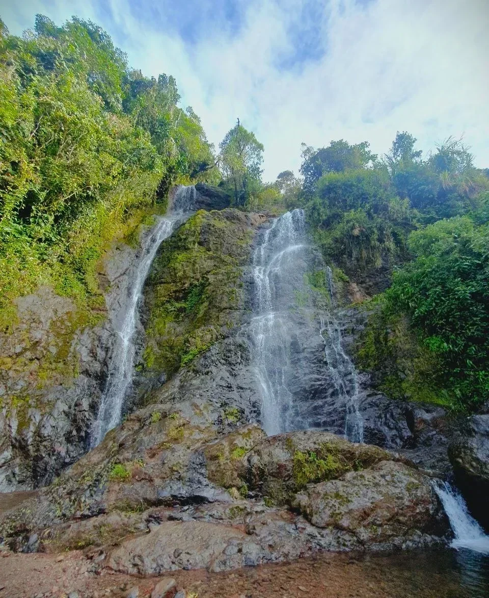 JARDIN ECOLÓGICO Y RURAL 8