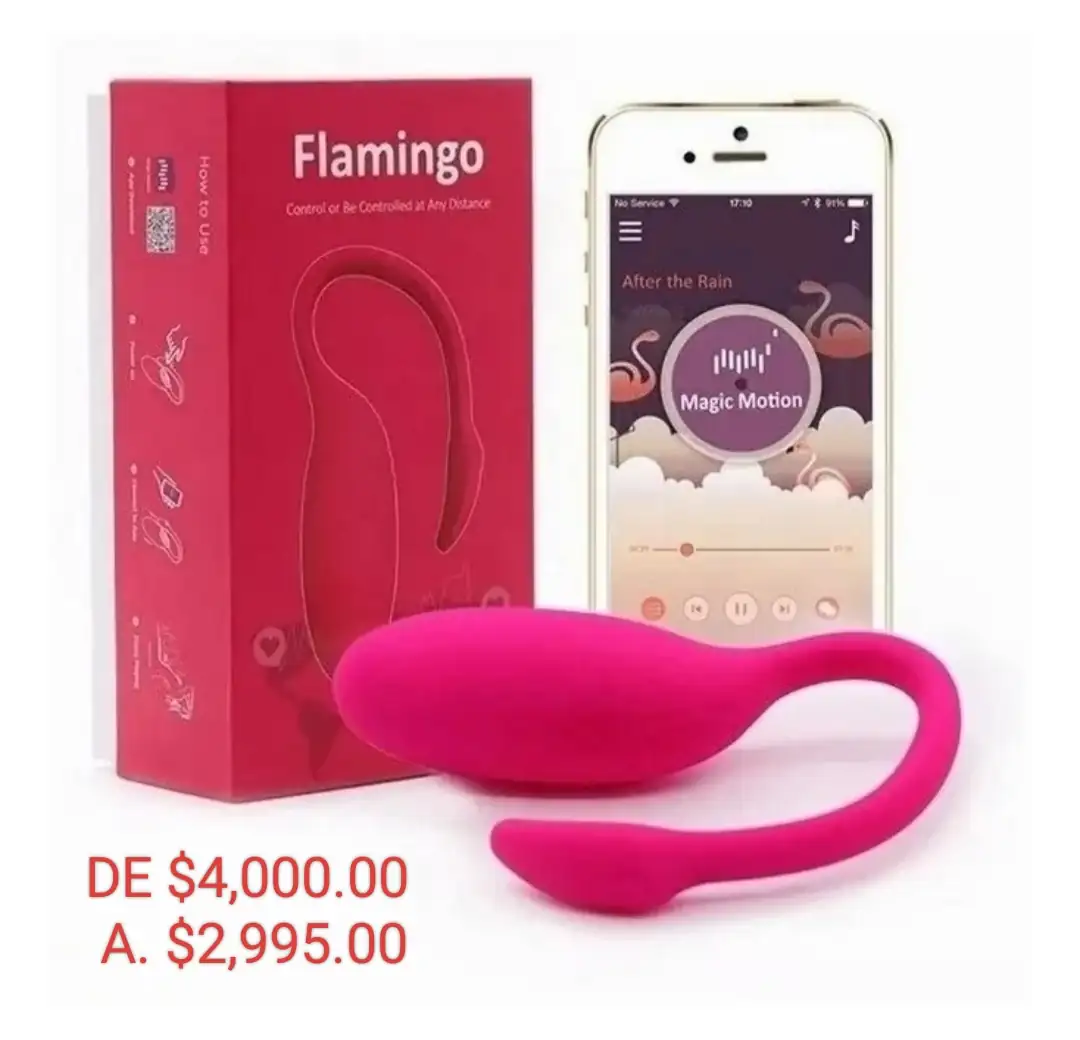 Flamingo