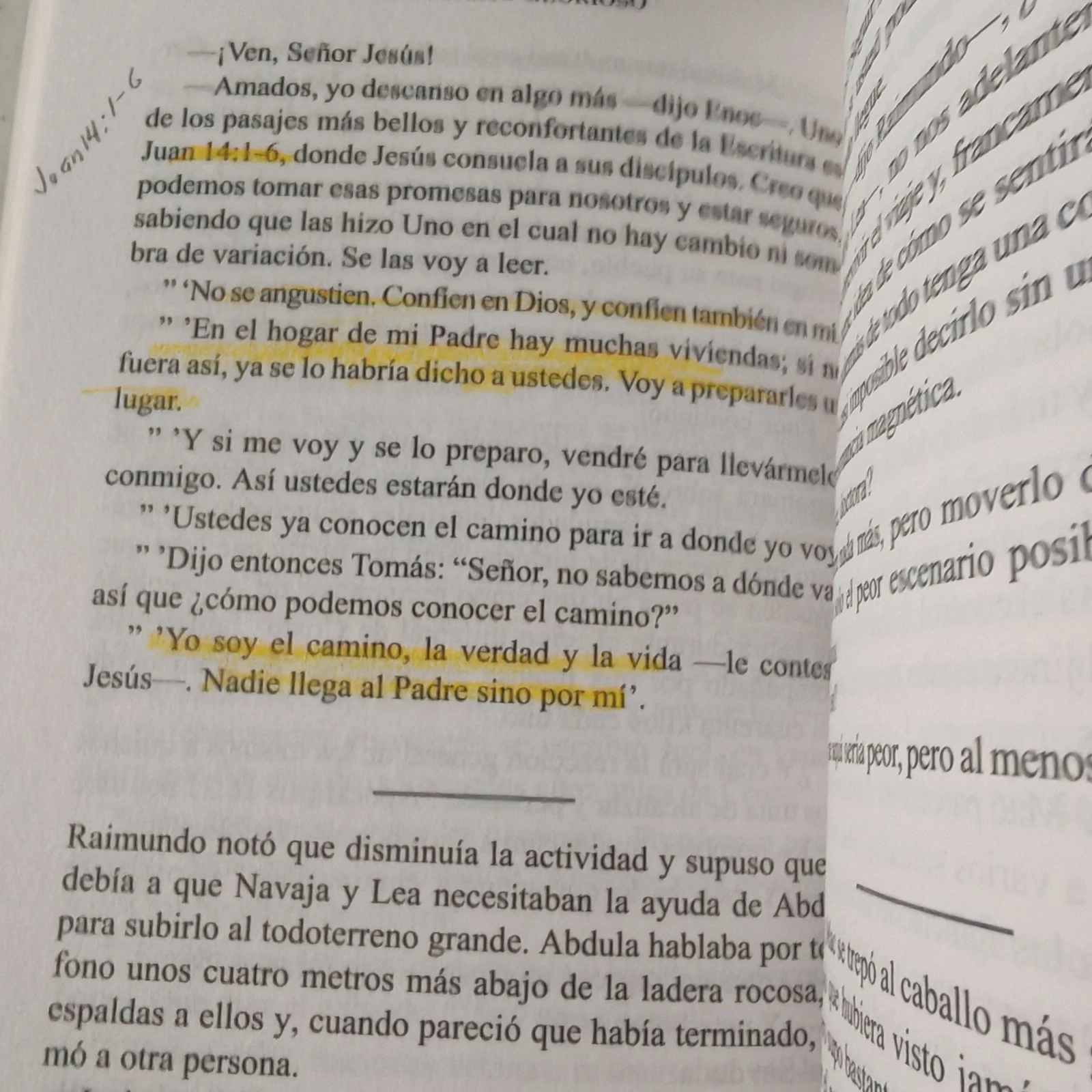 El regreso glorioso, T. LaHaye y J.B. Jenkins, usado 2