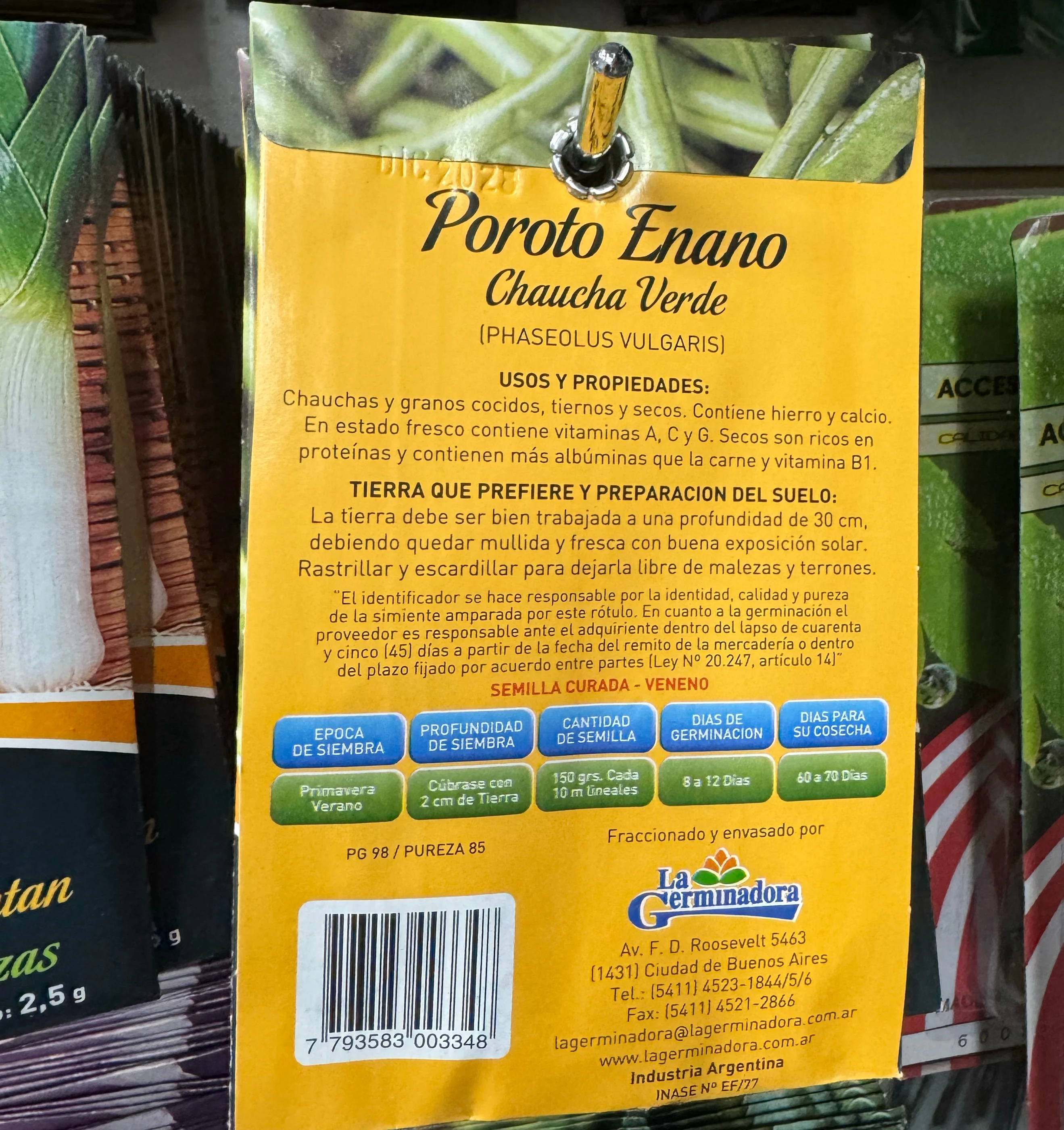 POROTO ENANO Semillas  2