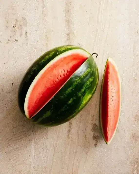 SANDIA SUPER JUMBO 