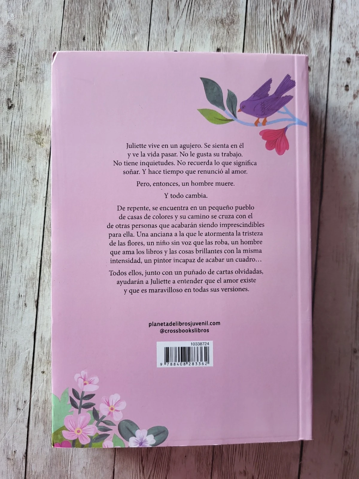 Juliette y las canciones perdidas / Andrea Longara / Superacion / segundas oportunidades / Autodescubrimiento 2