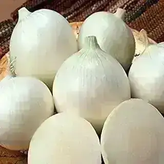CEBOLLA BLANCA
