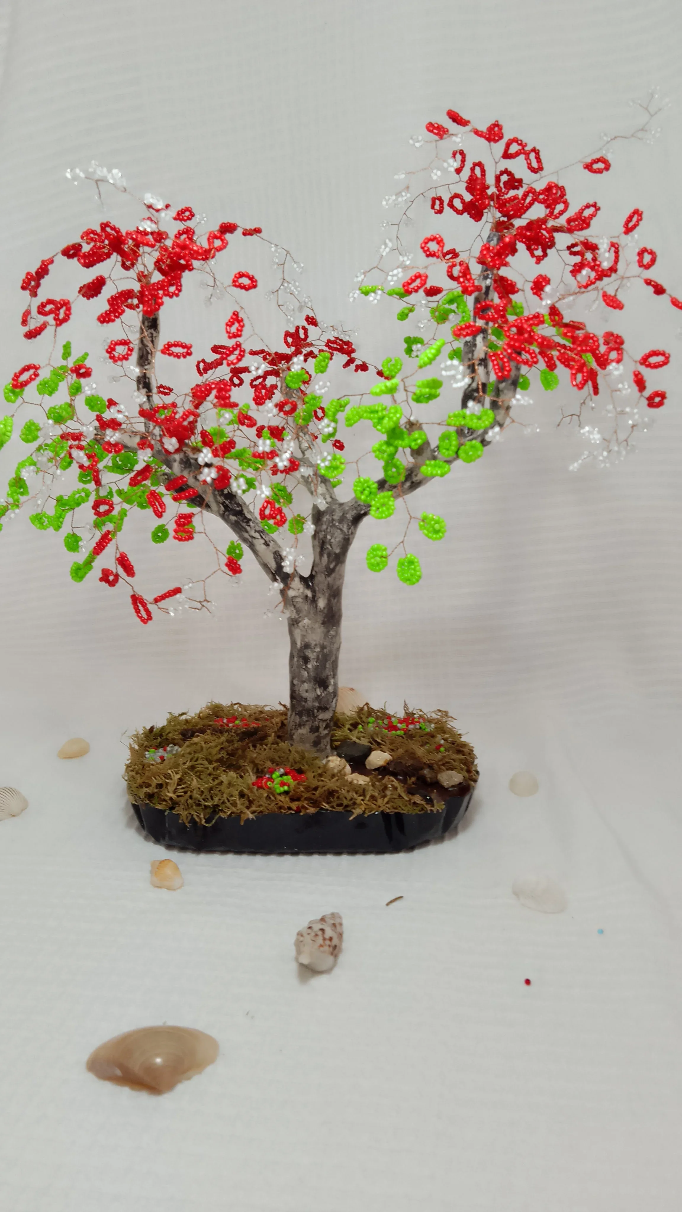 Bonsai Primavera roja