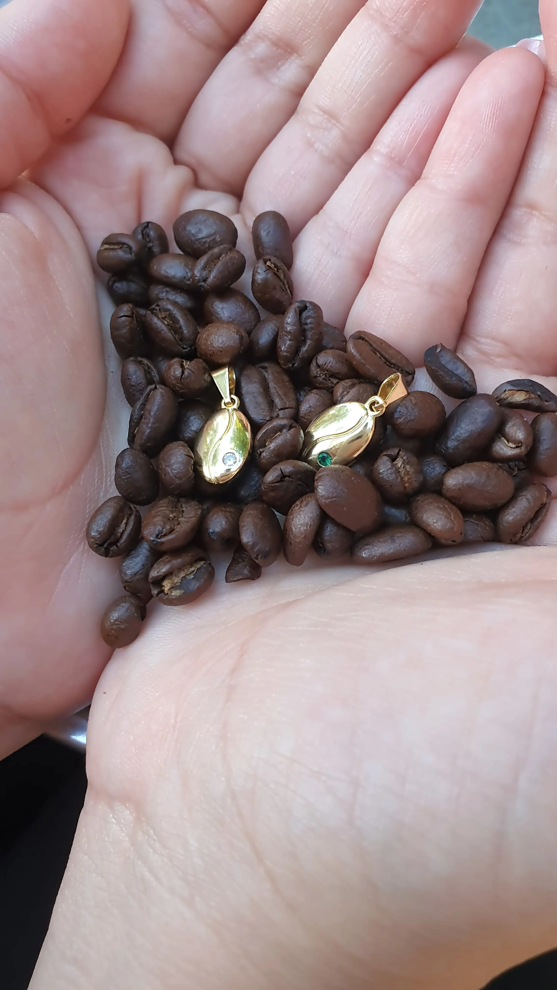 D GRANO DE CAFÉ 2