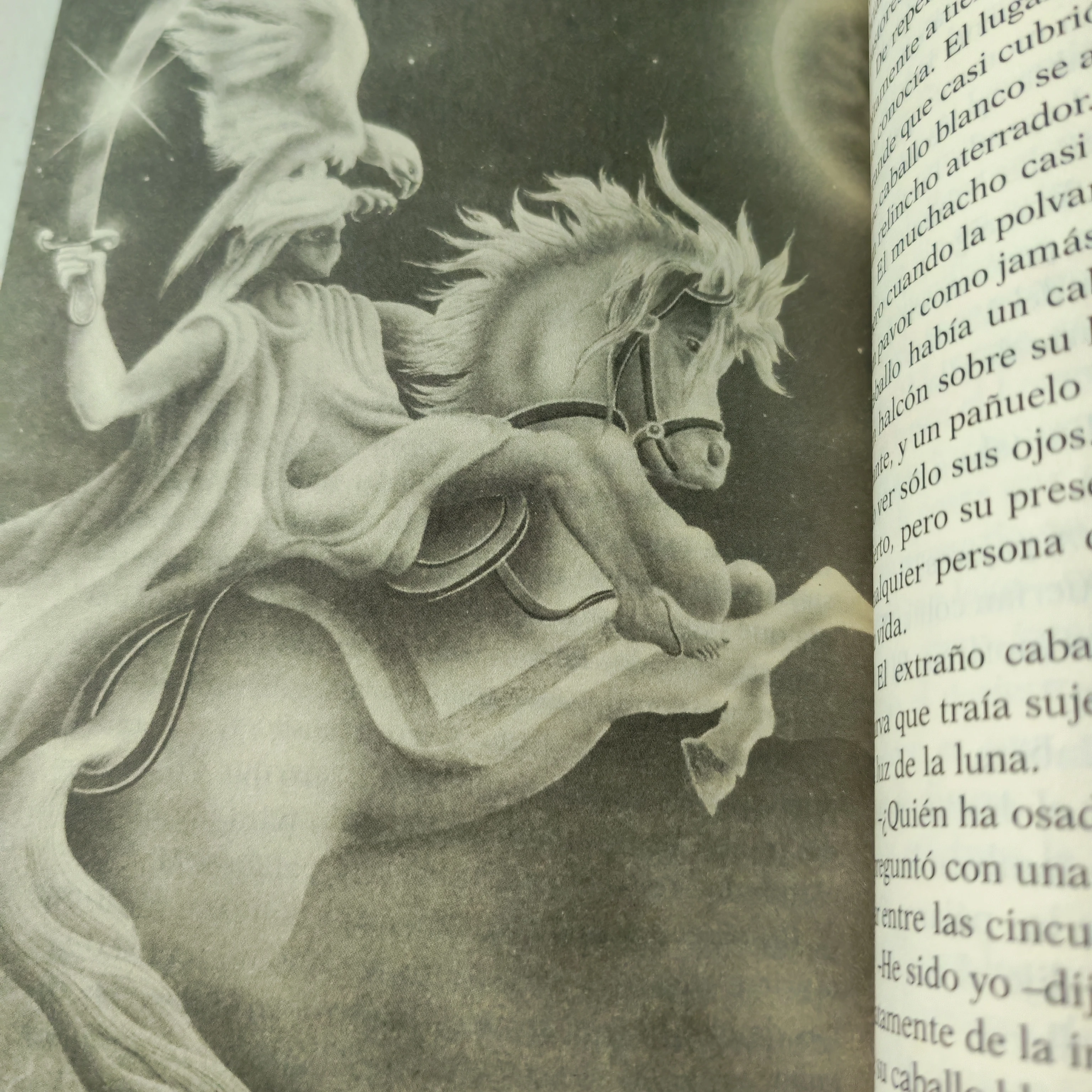 El alquimista Paulo Coelho usado  3