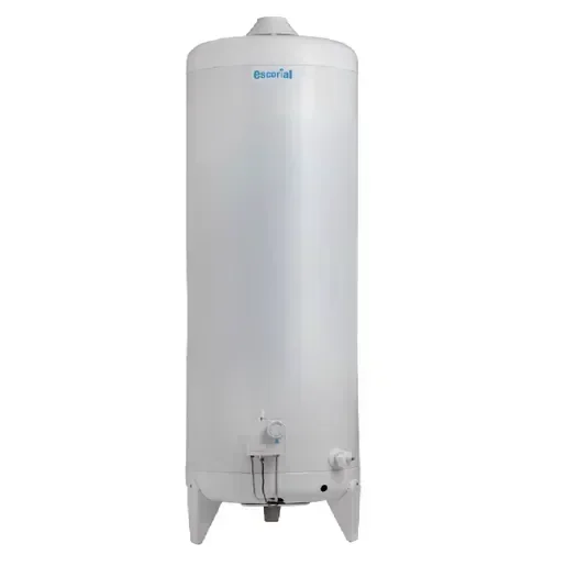 Termotanque Escorial Multigas 120lts