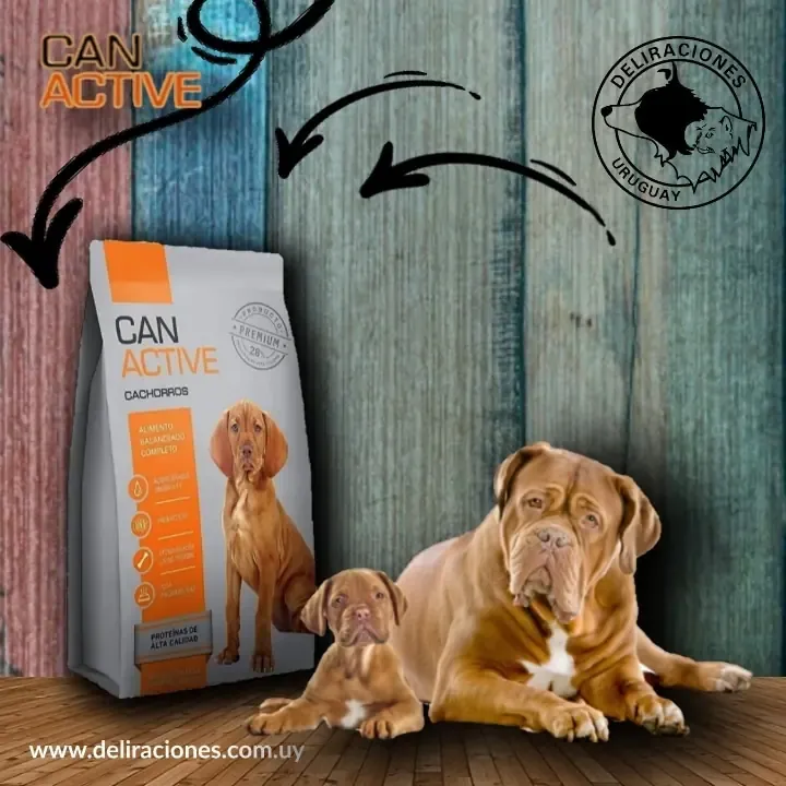 Can active cachorro