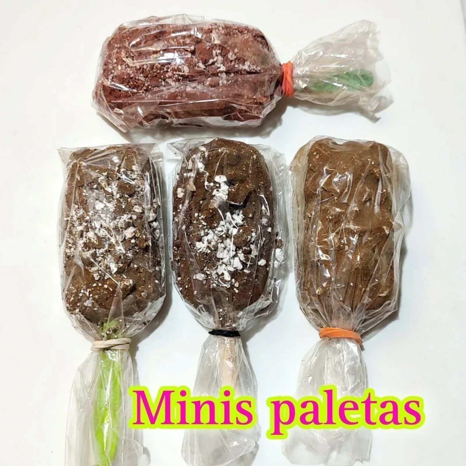 Mini Paleta (1 pieza)