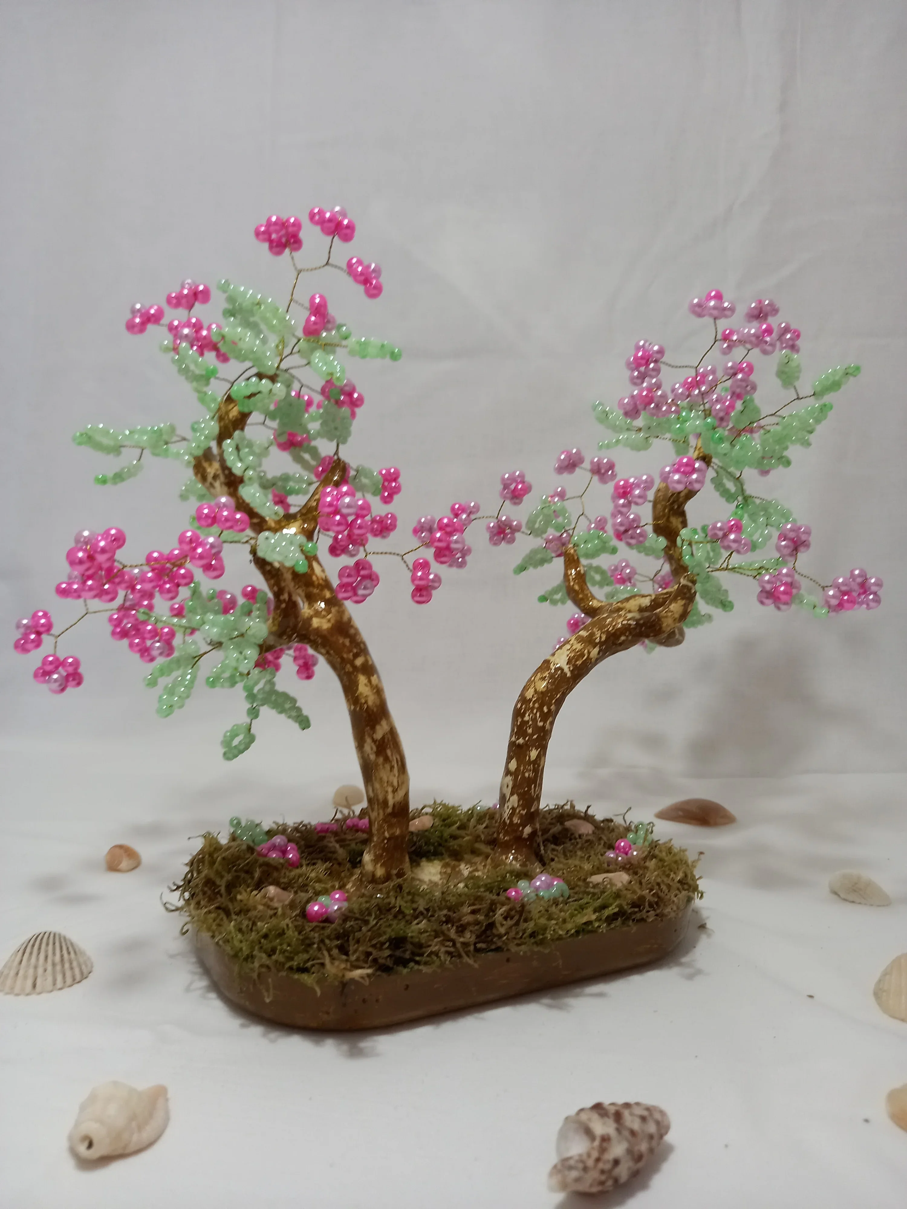 Bonsai Primavera Rosa Lila