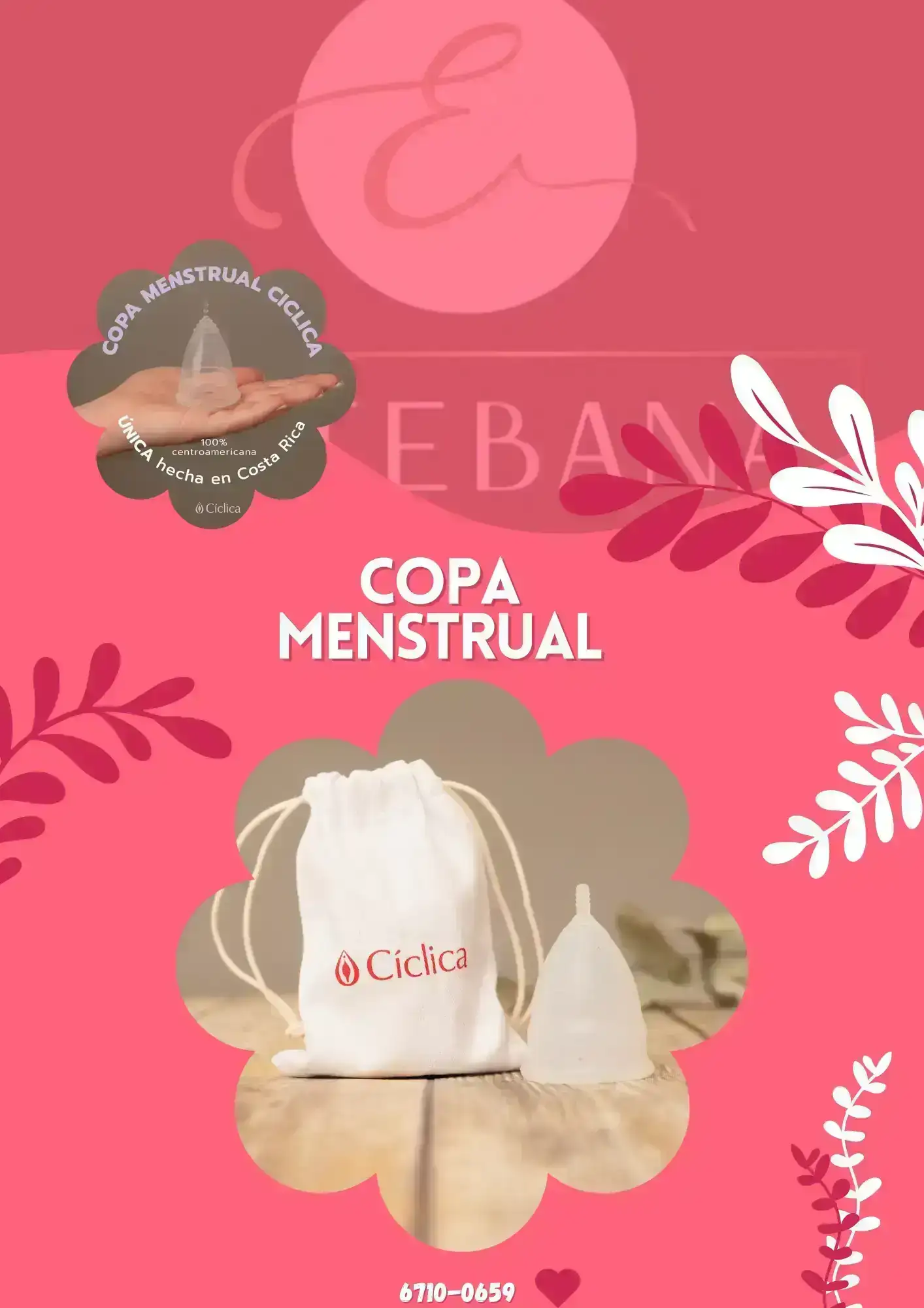 Menstruación ecológica