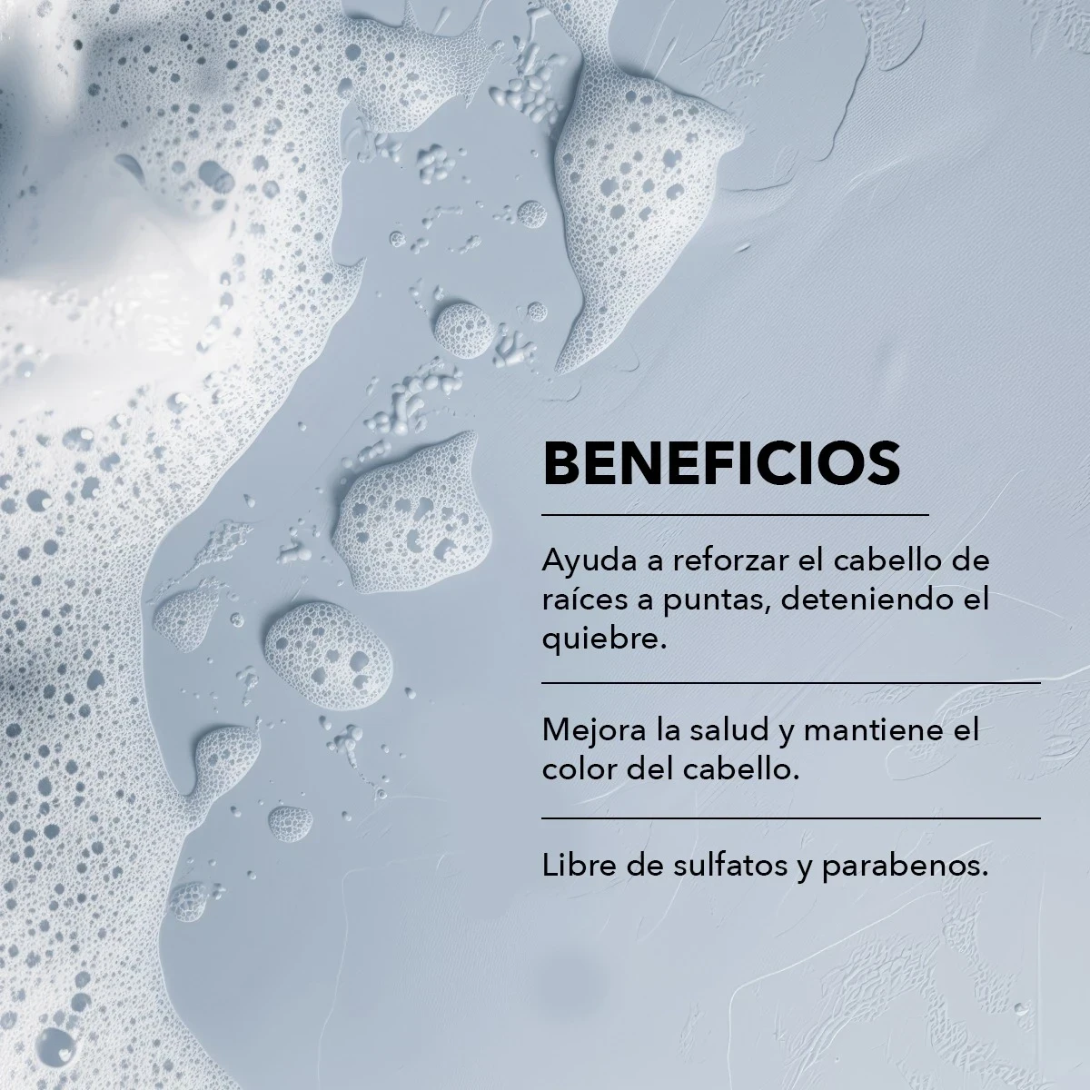 Kit Capilar Aceite de Girasol 2