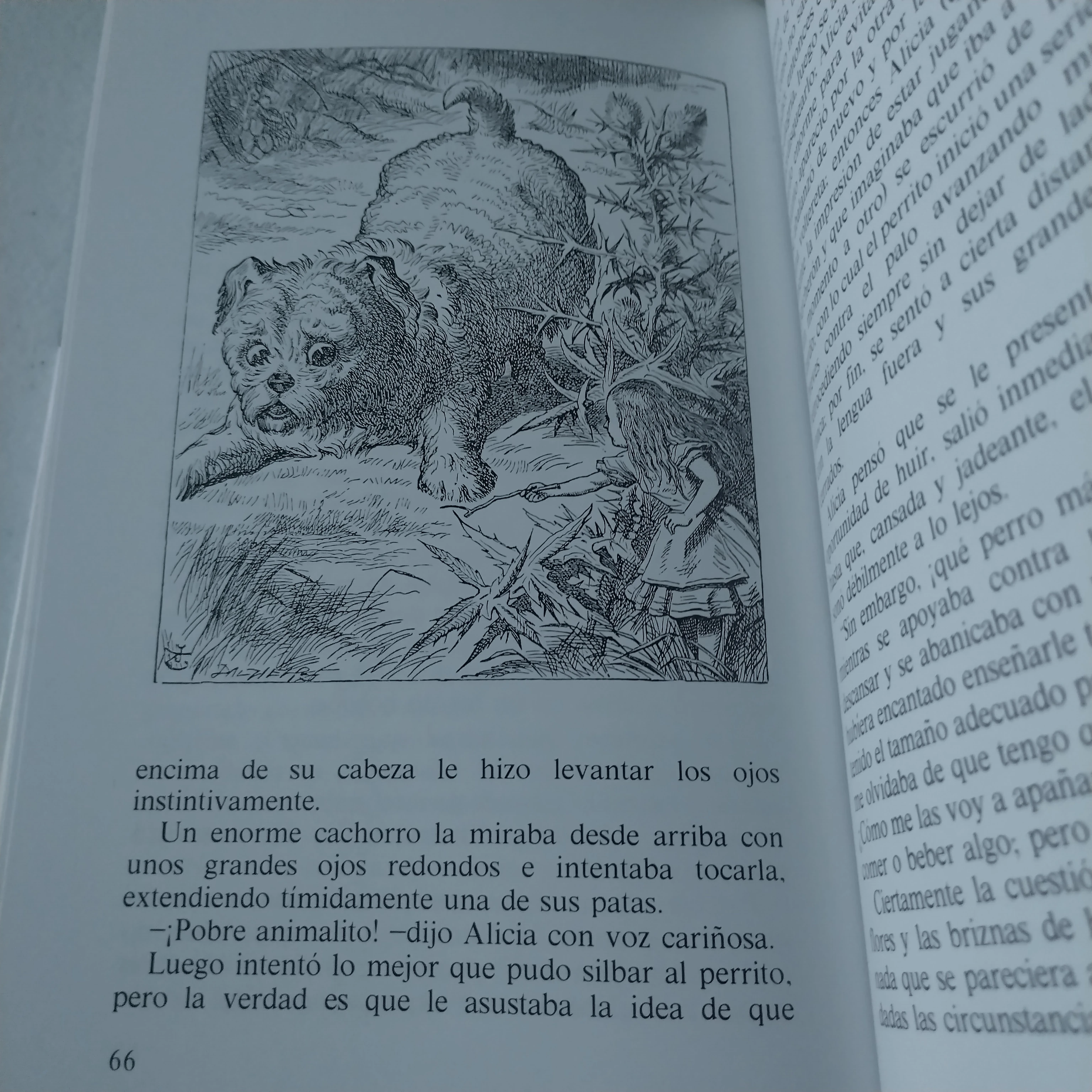Alicia en el país de las maravillas, Lewis Carroll, usado 3