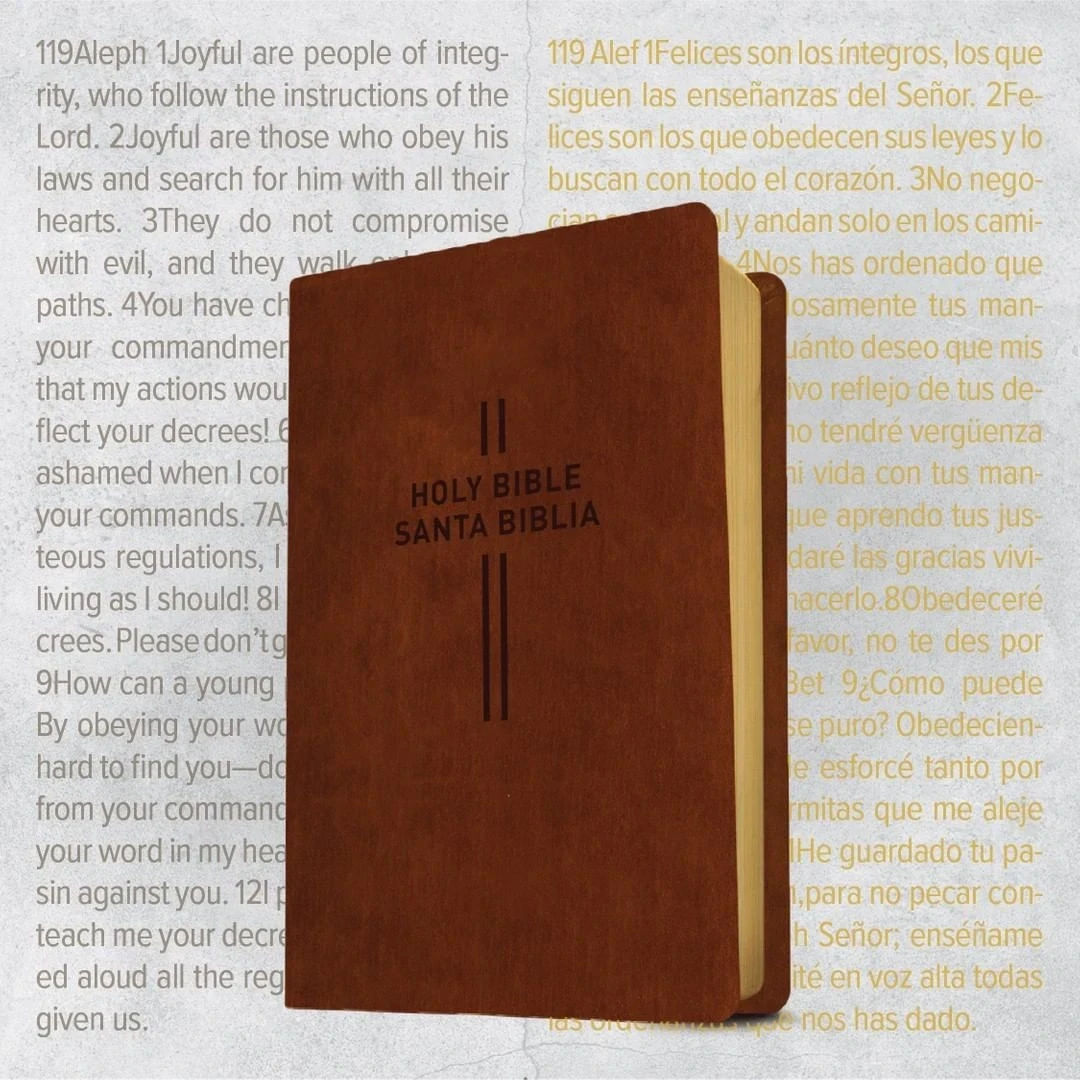 Bilingual Bible NLT/NTV Imit piel café 3