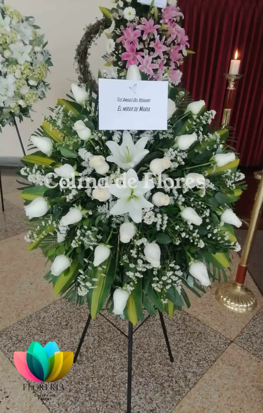 Parante blanco