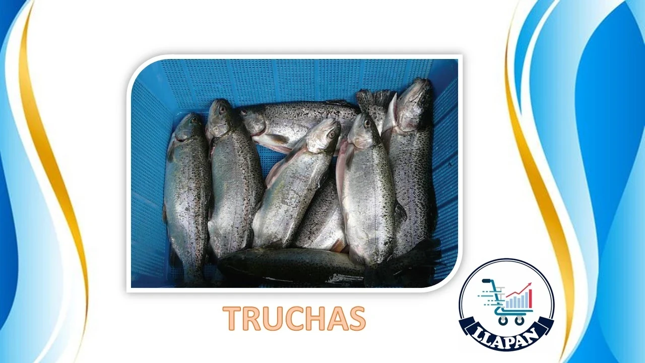 TRUCHAS